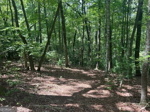 22.5 AC Hwy 2 TR 6 Blue Ridge GA 30513