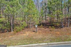 274 Traditions DR