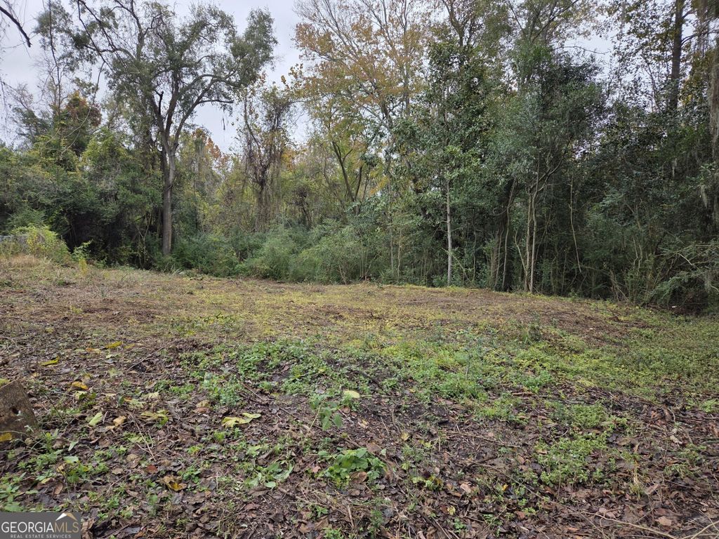 Photo of 0 Mosley Street, Savannah, GA 31404 (MLS # 10657096)