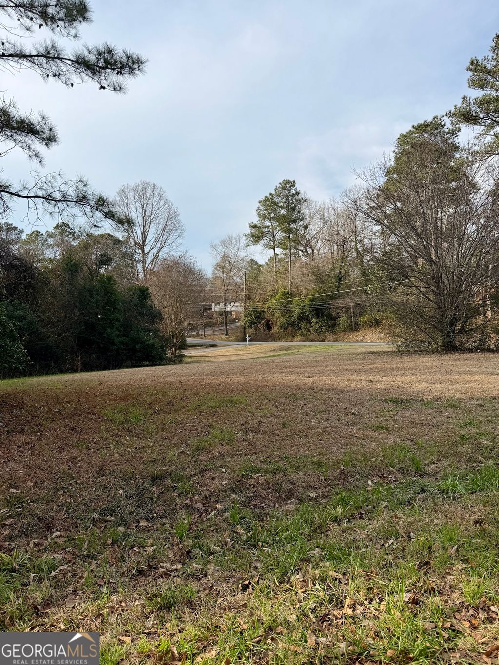 Photo of 2009 Green Street, Warner Robins, GA 31093 (MLS # 10692117)