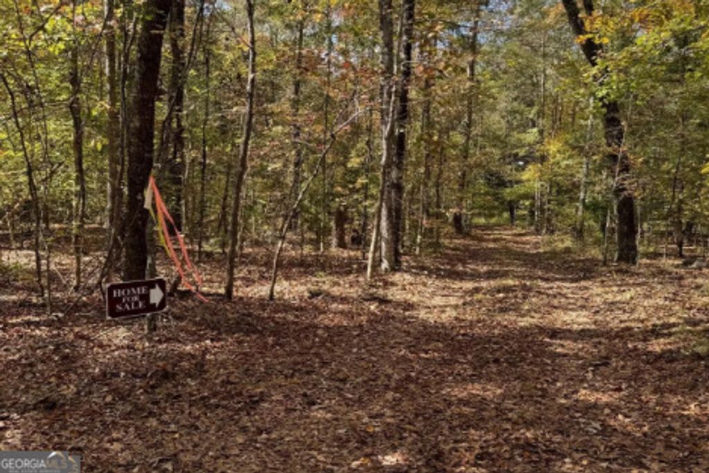 Photo of 257 Flint River Road, Molena, GA 30258 (MLS # 10767254)