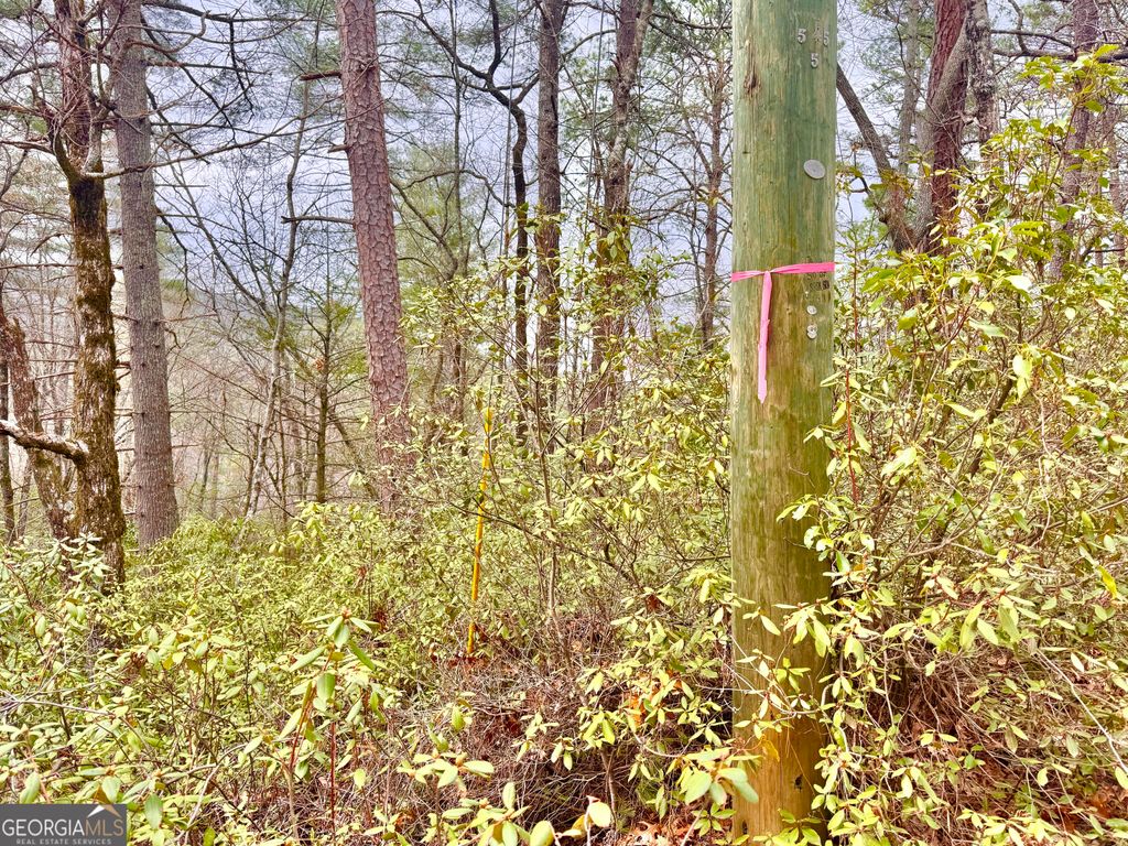 Photo of 0 Long Mountain Drive #LOT 1 &amp; 3, Lakemont, GA 30552 (MLS # 10715008)