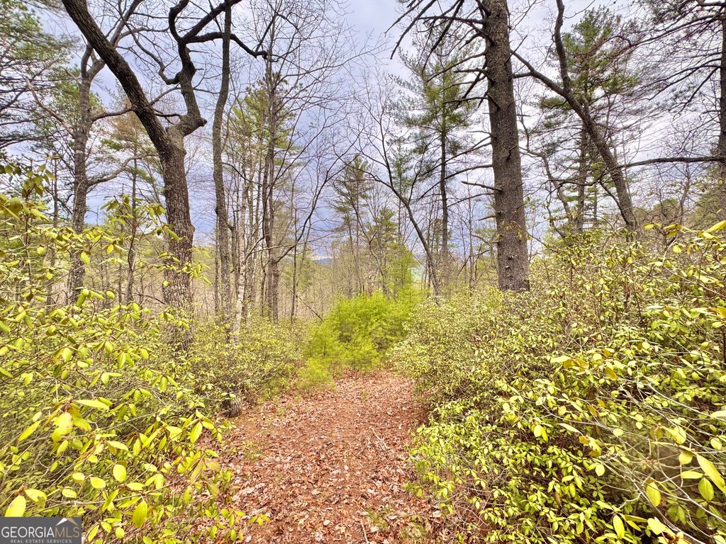 Photo of 0 Long Mountain Drive #LOT 1 &amp; 3, Lakemont, GA 30552 (MLS # 10715008)