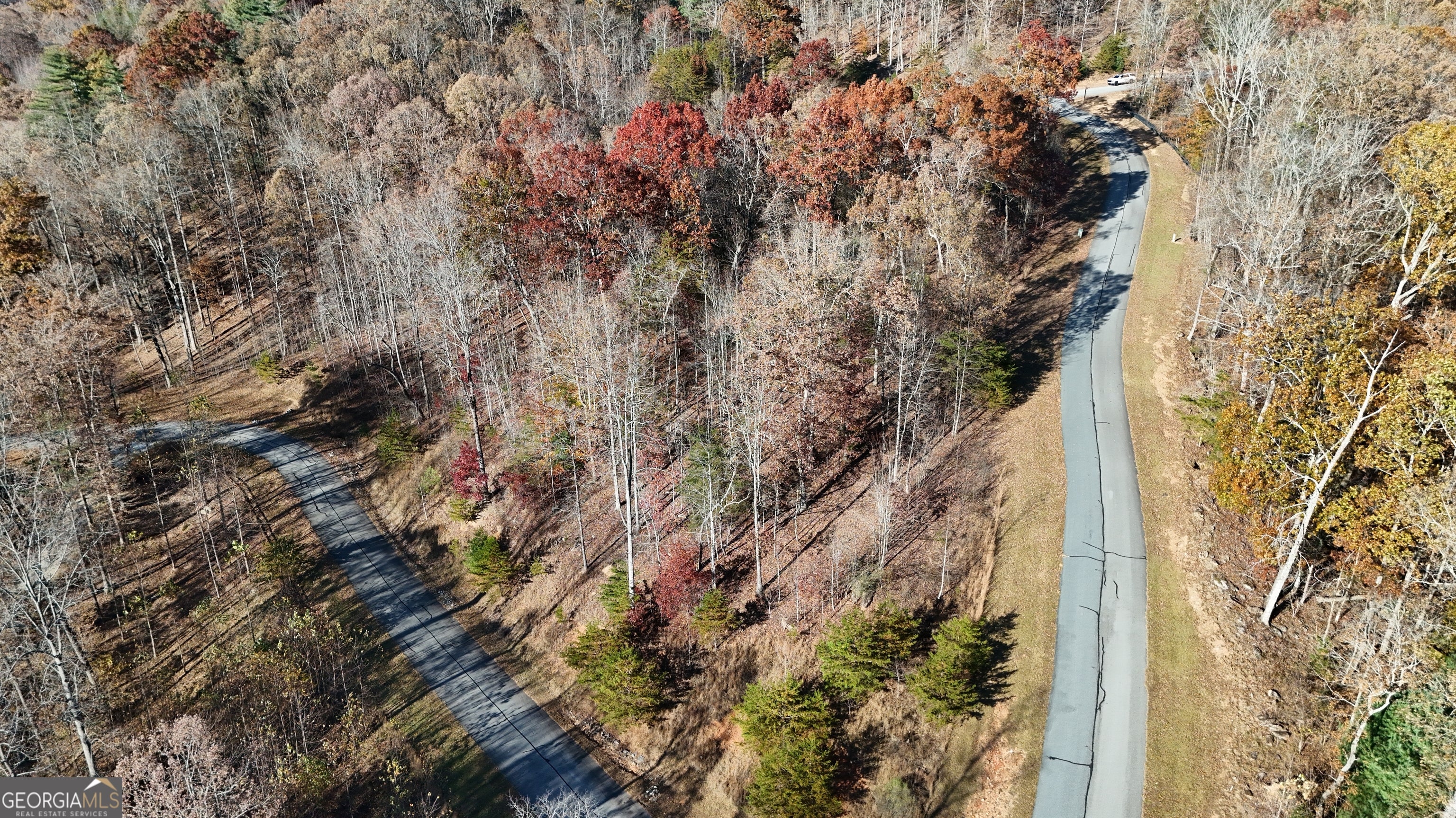 LOT 196 Springwinds DR