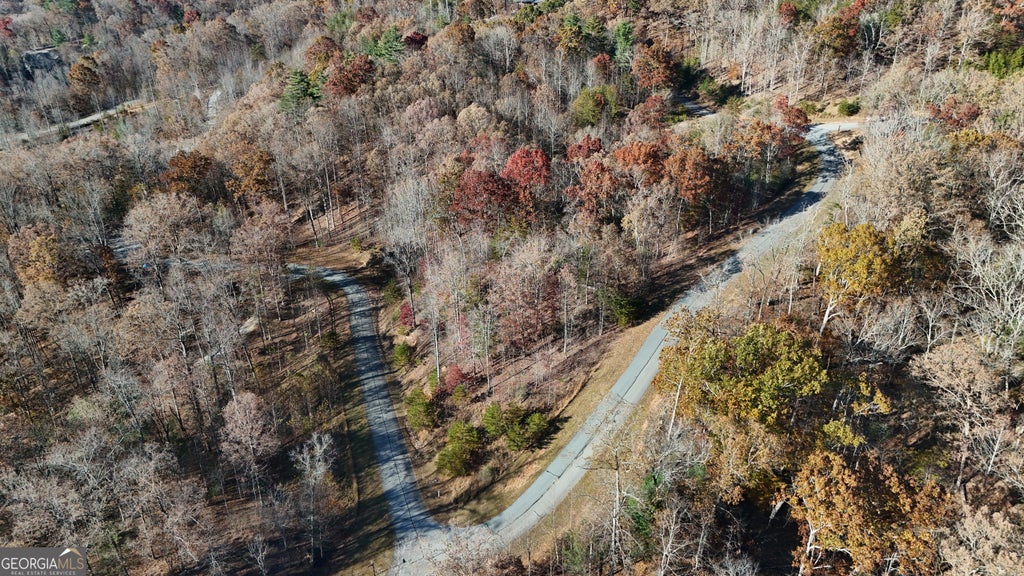 Photo of 196 Springwinds Drive, Cleveland, GA 30528 (MLS # 10849425)