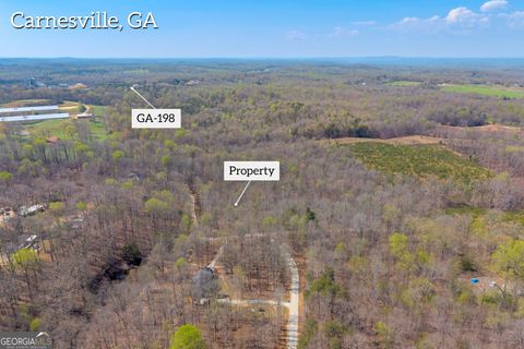 Photo of 300 Rolling Rock Rd, Carnesville, GA 30521 (MLS # 10716276)