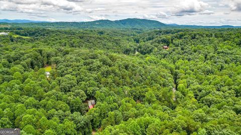 A home in Ellijay