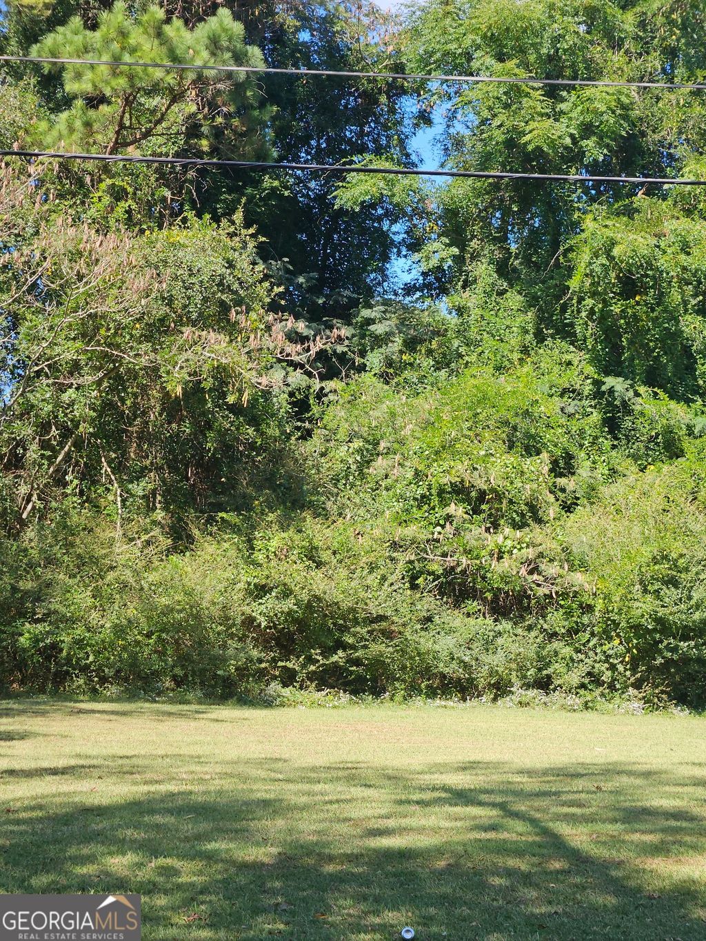 Photo of 107 Clark Street, Lagrange, GA 30240 (MLS # 10734758)