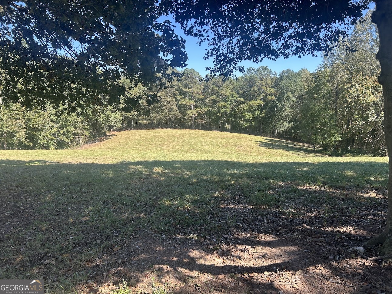 0 Blackjack Mountain RD (TRACT 2--19.93 ACRES)