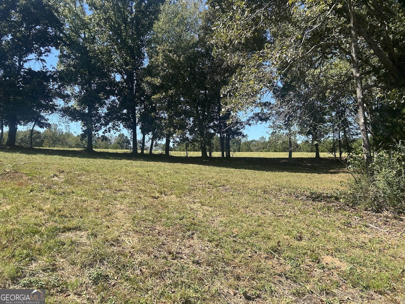 0 Blackjack Mountain RD (TRACT 2--19.93 ACRES)