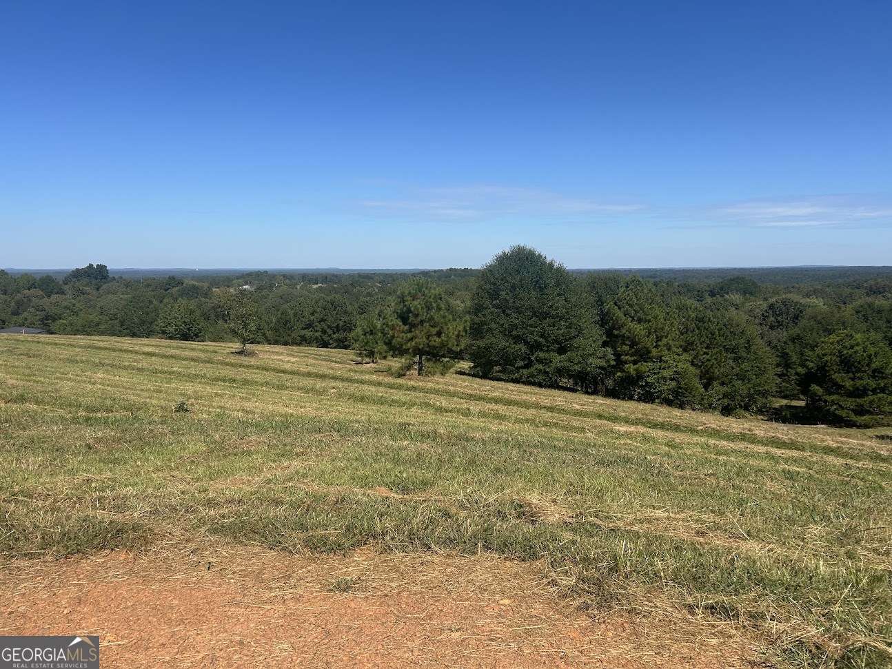 0 Blackjack Mountain RD (TRACT 2--19.93 ACRES)