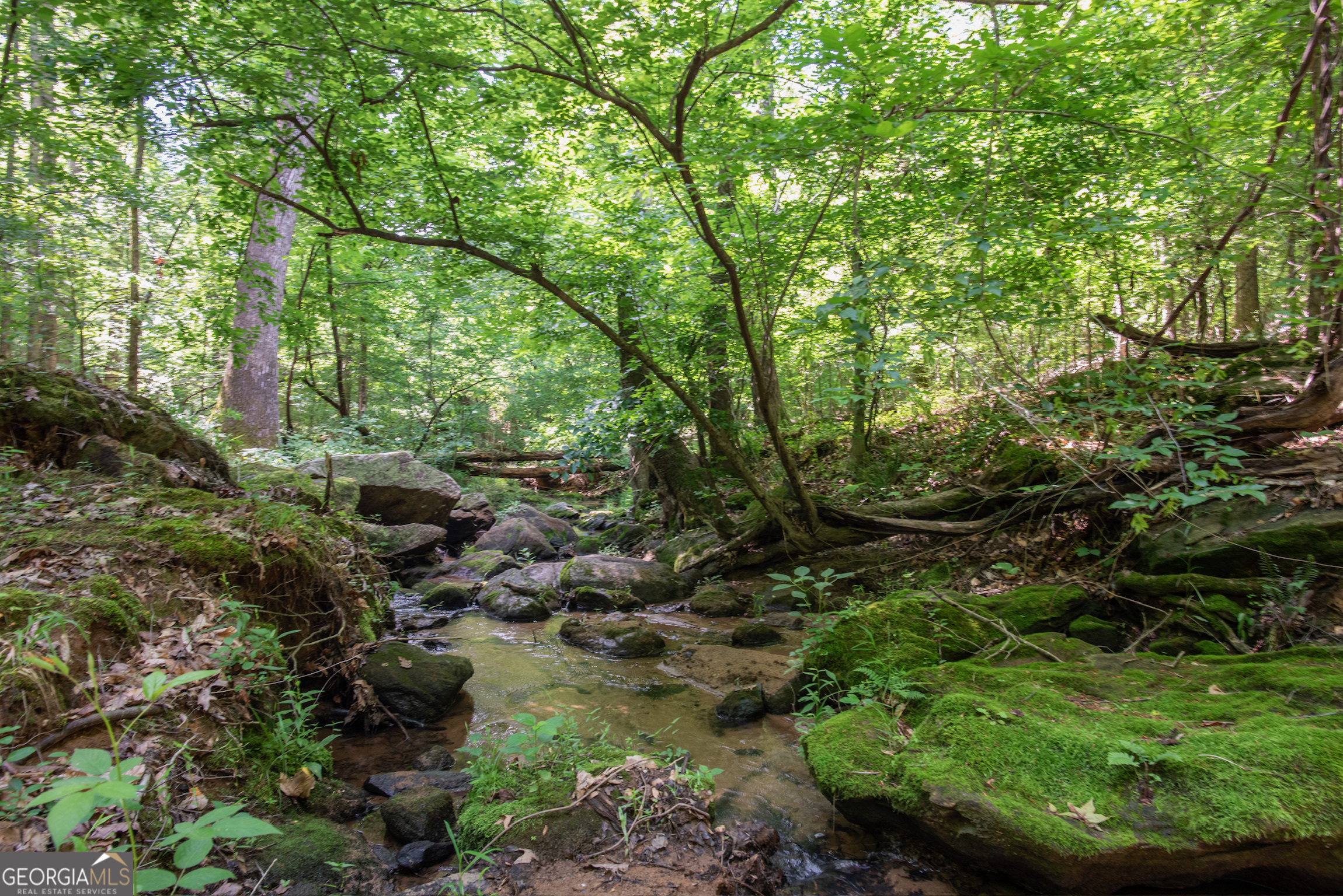 Estate Property - Residential