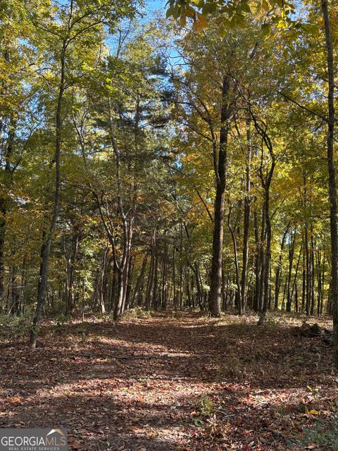 Photo of 1600 Sunset Trail, Talking Rock, GA 30175 (MLS # 10635745)