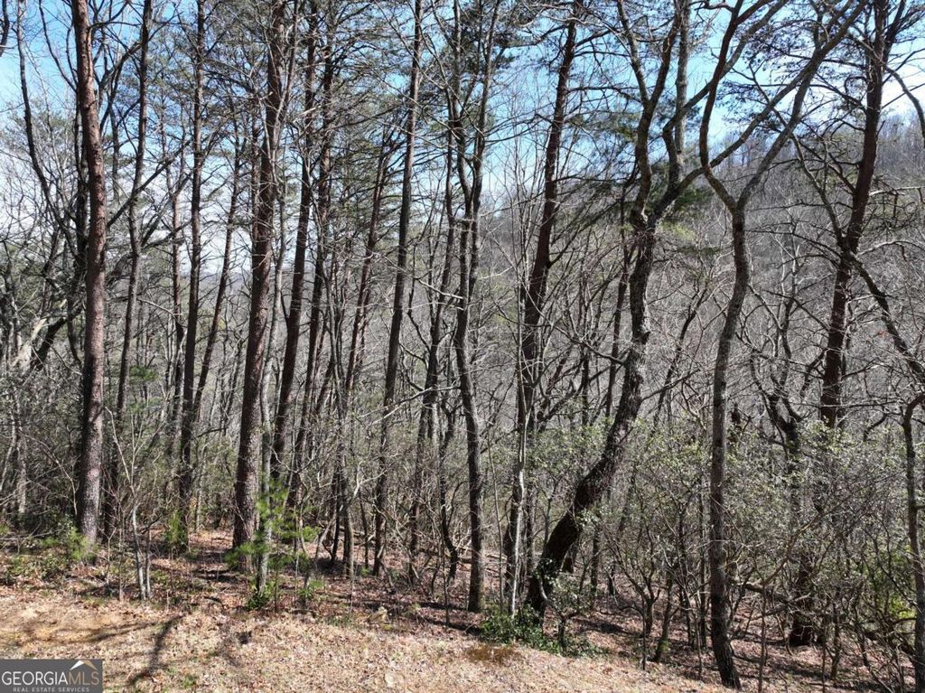 Photo of 200 Stone Cliff Drive, Ellijay, GA 30536 (MLS # 10710597)