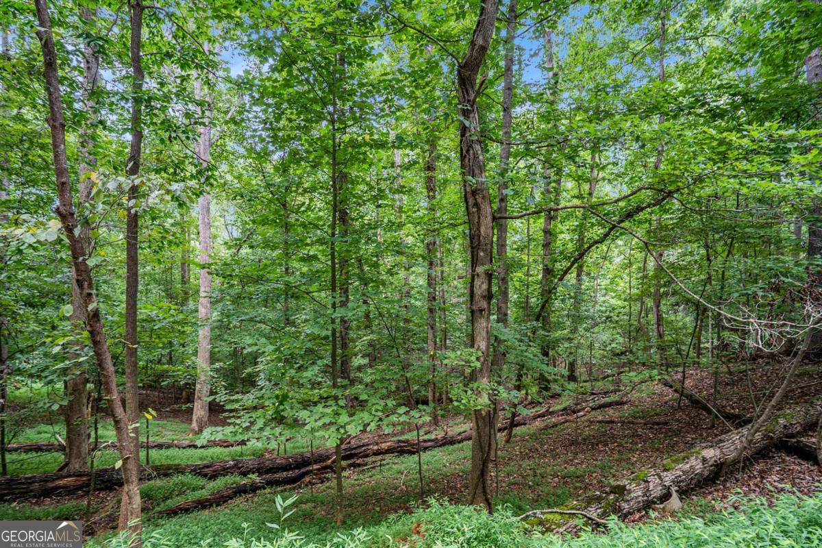 LOT 72 Huron CIR 72