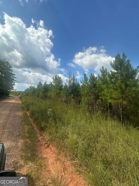 Photo of 0 Cook Road #TRACT 3, Monticello, GA 31064 (MLS # 10848919)