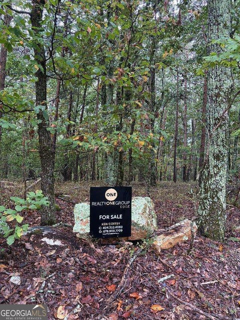 Photo of 0 Quartz Court, Jasper, GA 30143 (MLS # 10868458)