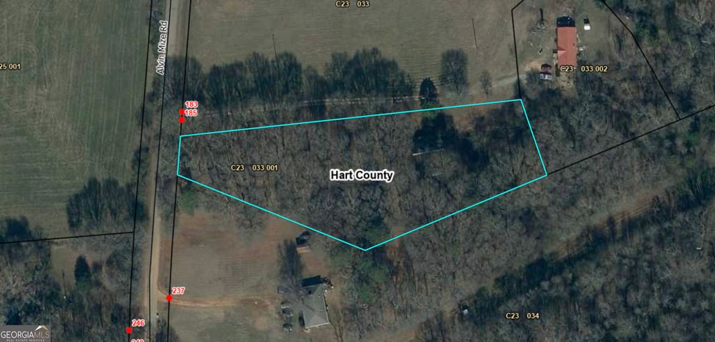 Photo of 185 Alvin Mize Road, Royston, GA 30662 (MLS # 10813795)