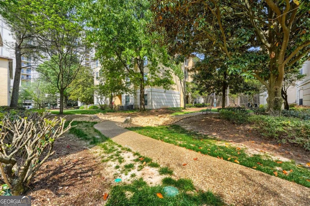 3777 Peachtree RD NE 1205