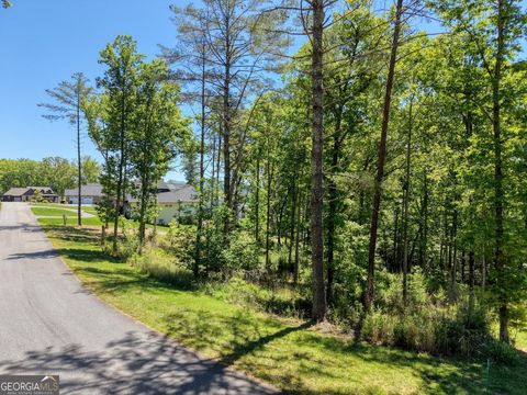 Photo of 167 Highland Park, Blairsville, GA 30512 (MLS # 10766141)