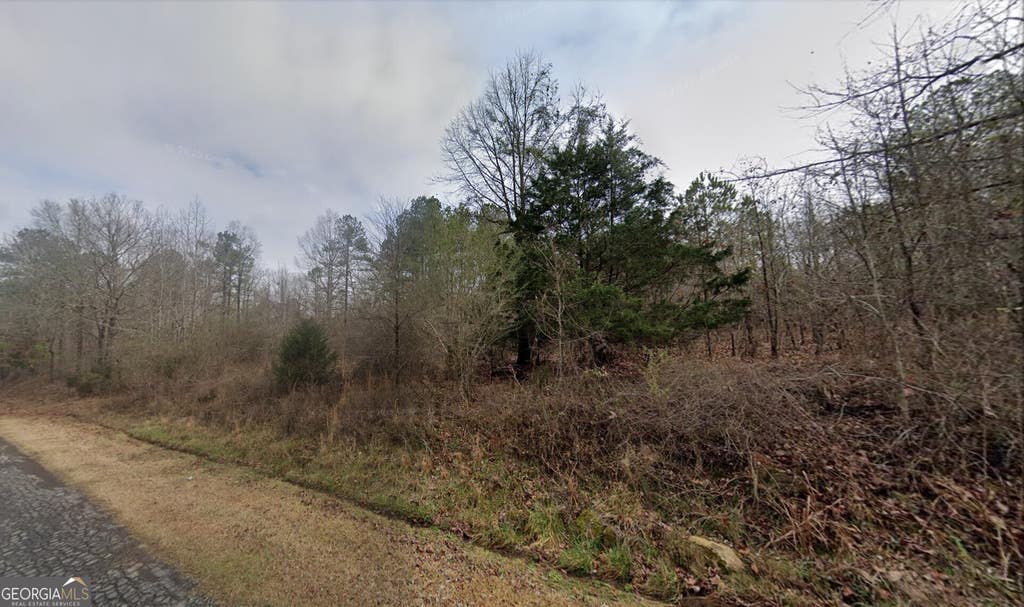 Photo of 193 Nathan Thaxton Road, Jackson, GA 30233 (MLS # 10817362)