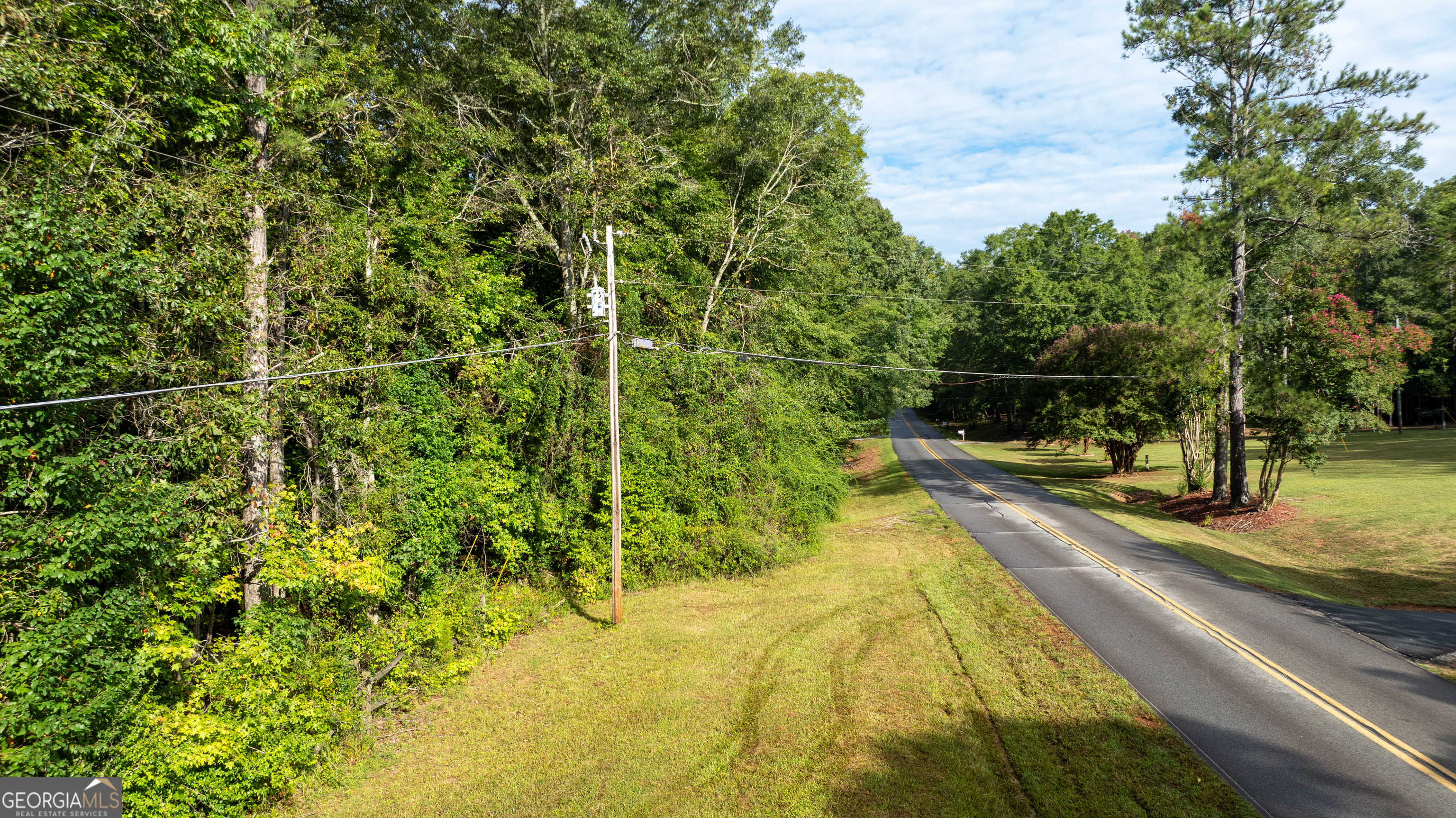 58.99 ACRES Bear Creek RD