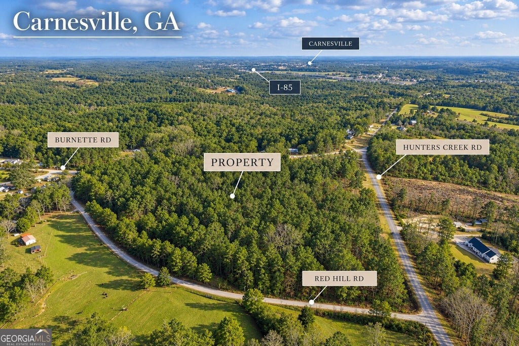 Photo of 2122 Hunters Creek Road, Carnesville, GA 30521 (MLS # 10849804)