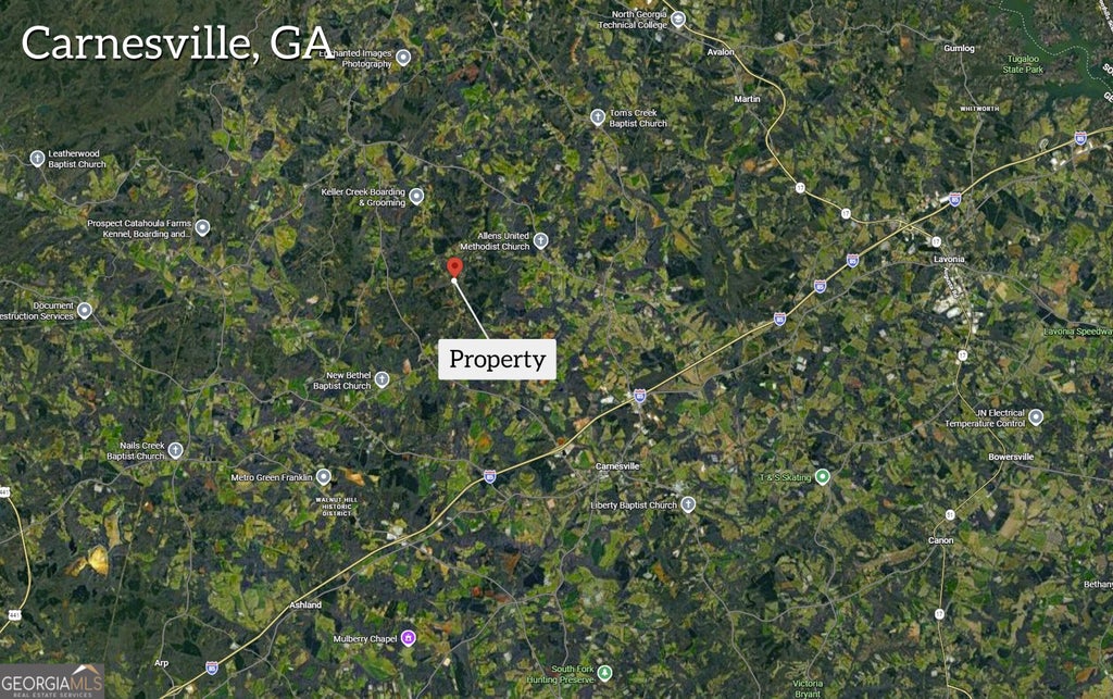 Photo of 2122 Hunters Creek Road, Carnesville, GA 30521 (MLS # 10849804)