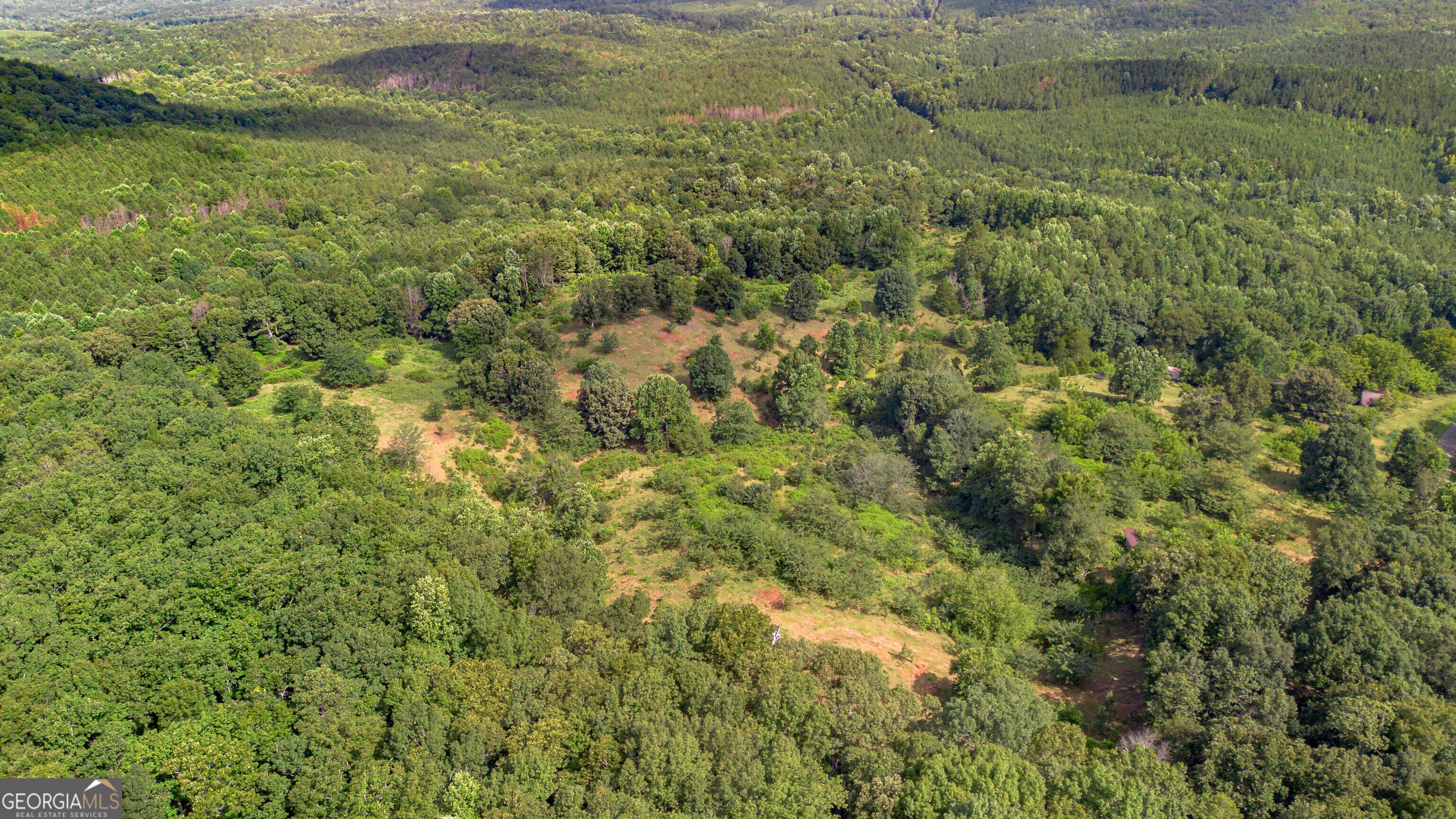 5967 County Road 19 LOT 1