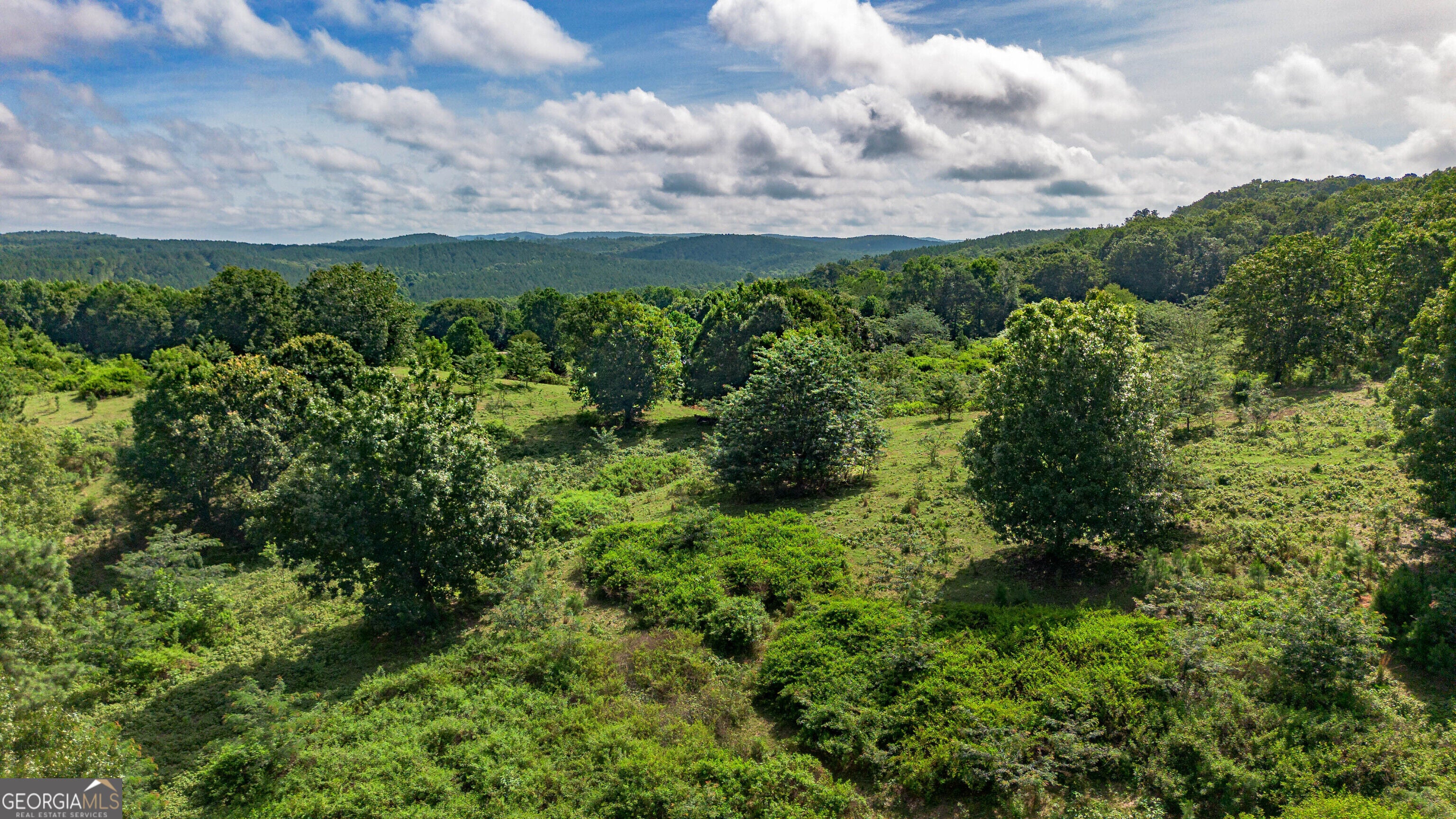5967 County Road 19 LOT 1