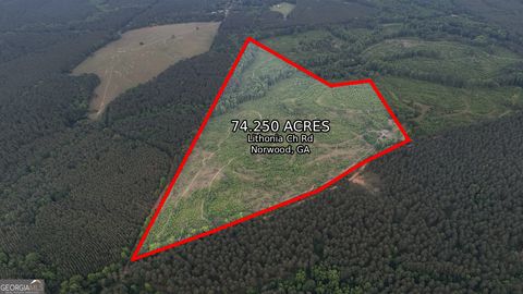 Photo of 1 Lithonia Church Road, Norwood, GA 30821 (MLS # 10678314)