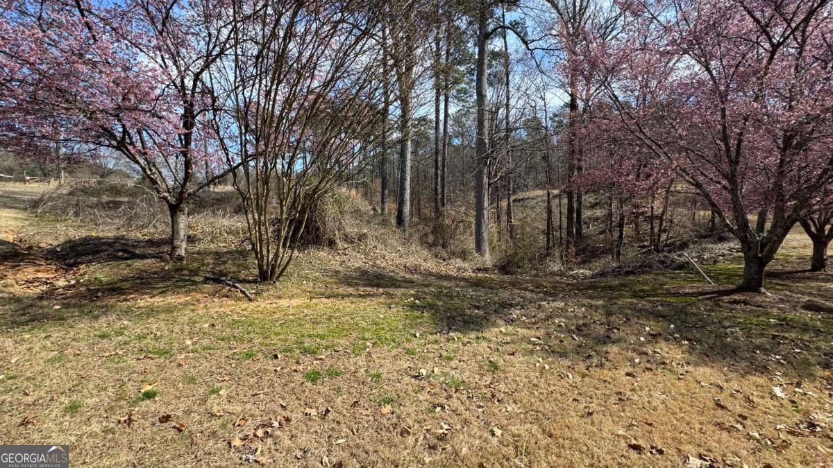 5204 Prestley Crossing LN