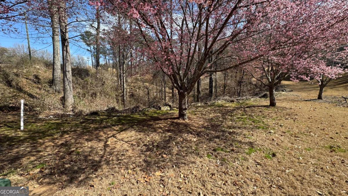 5204 Prestley Crossing LN