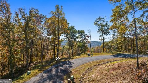 Photo of 59 Ridge Line Trail, Ellijay, GA 30540 (MLS # 10640159)
