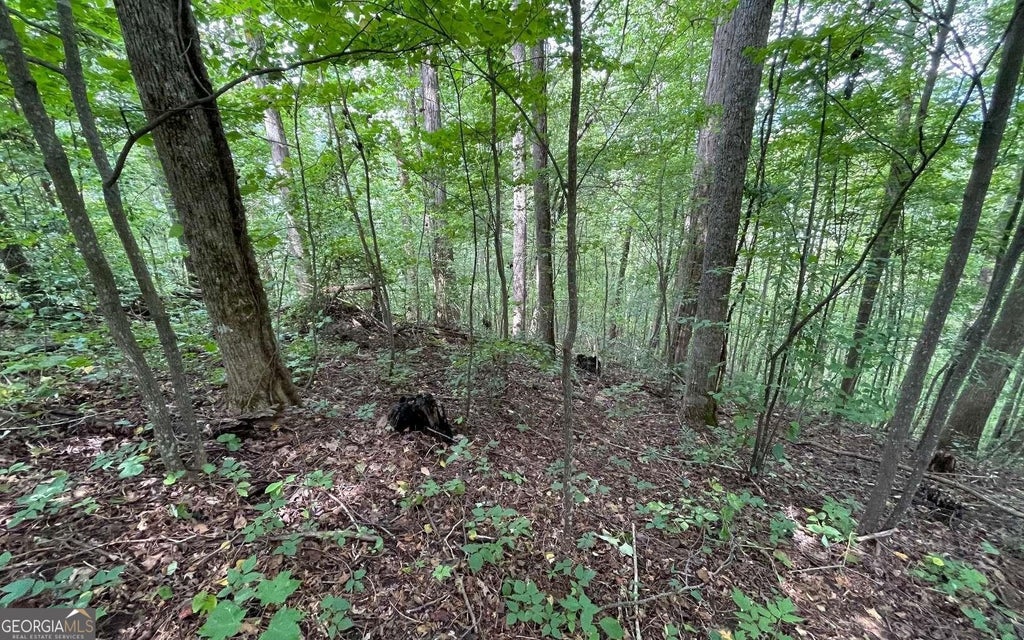 Photo of 19 Bear Trail, Hiawassee, GA 30546 (MLS # 20003437)