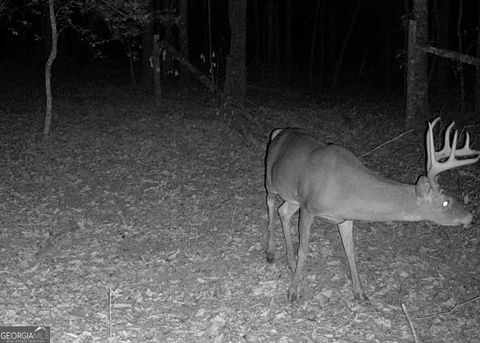 listing image 63