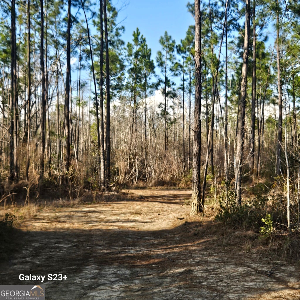 Photo of 0 Mill Branch Club Road Lot 1Q, Pembroke, GA 31321 (MLS # 10848474)