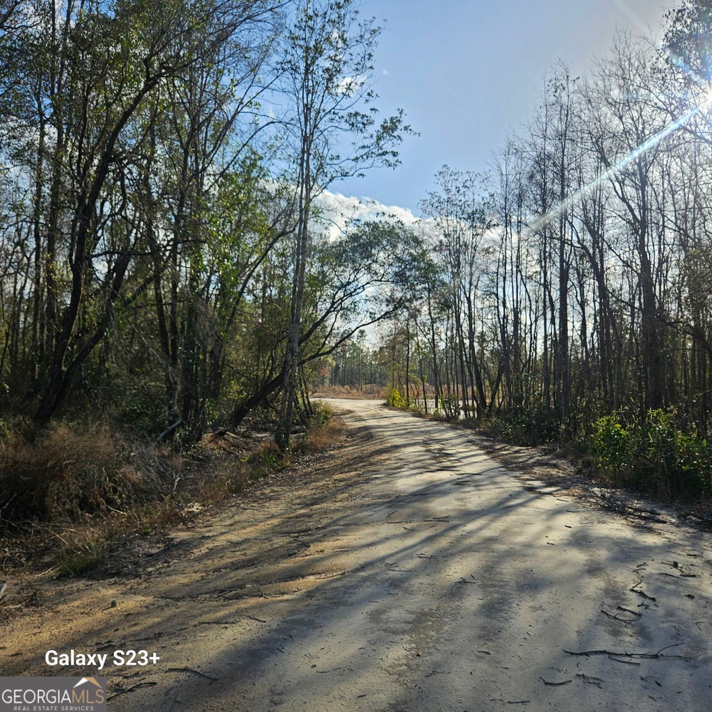 Photo of 0 Mill Branch Club Road Lot 1Q, Pembroke, GA 31321 (MLS # 10848474)