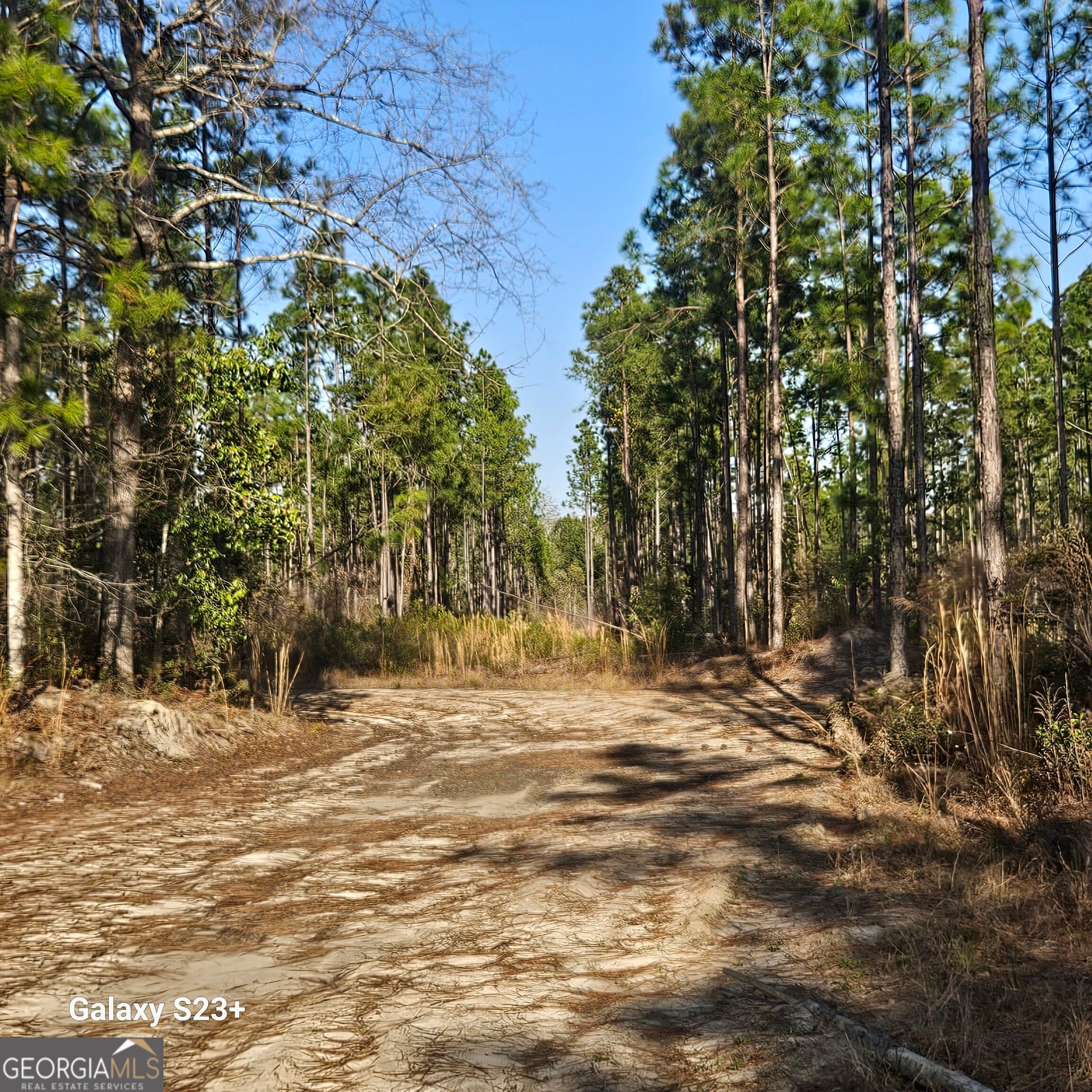 0 Mill Branch Club Road Lot 1Q
