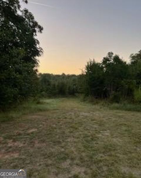 Photo of 600 Hillview Road #TRACT 2, Hampton, GA 30228 (MLS # 10687278)