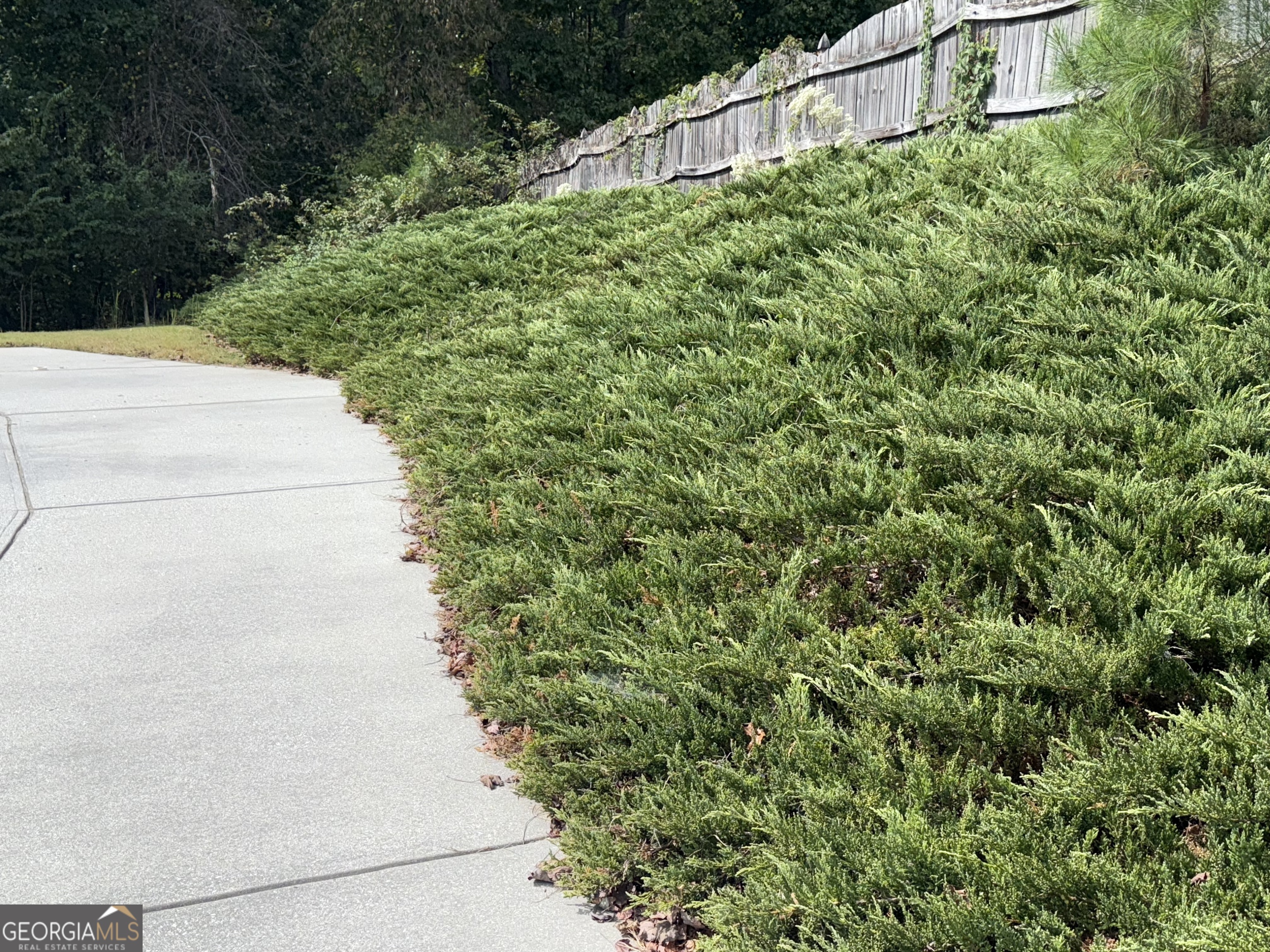 Walden Park - Residential