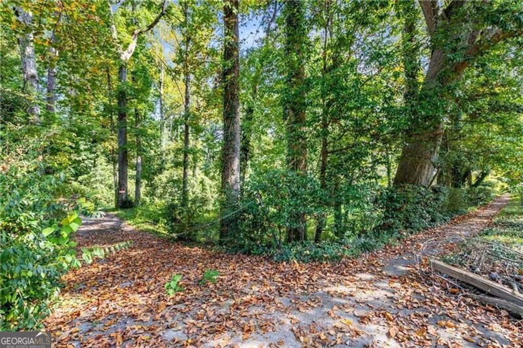 Photo of 519 Durand Drive NE, Atlanta, GA 30307 (MLS # 10624778)