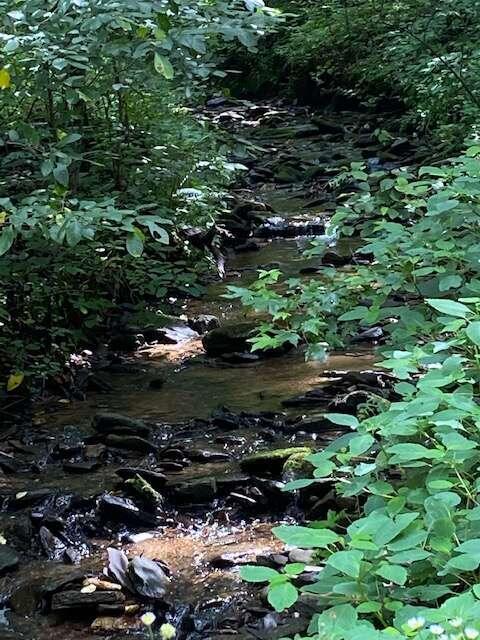 105 +/- ACRES Folkstone RD