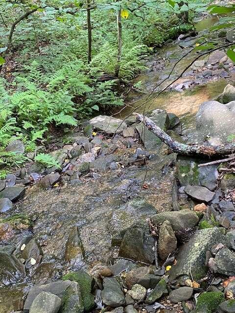 105 +/- ACRES Folkstone RD