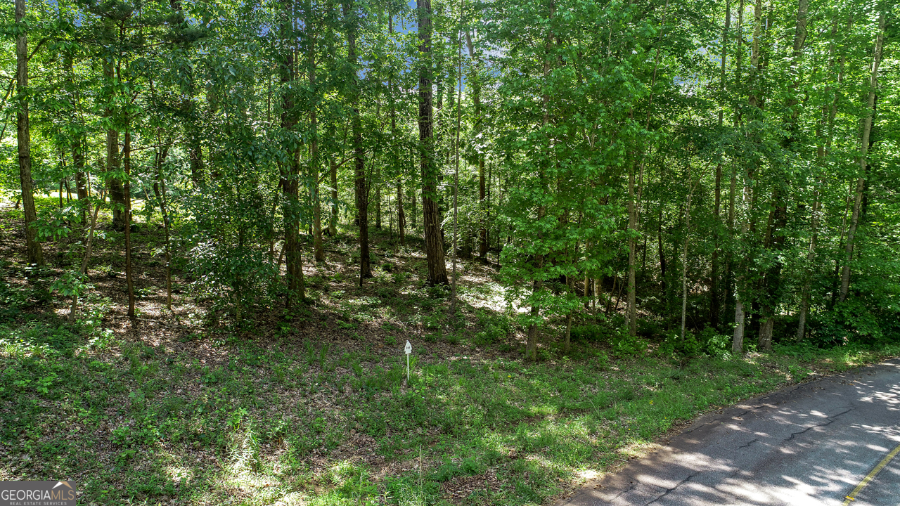 138 Tulip DR