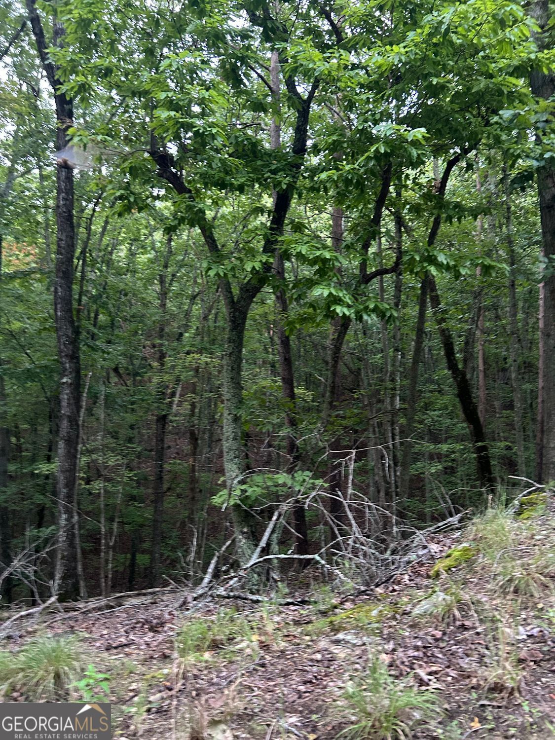 Waleska, Georgia 30183, United States, ,Land,Active,196808