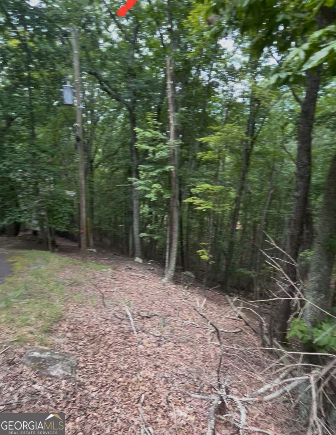 Waleska, Georgia 30183, United States, ,Land,Active,196808