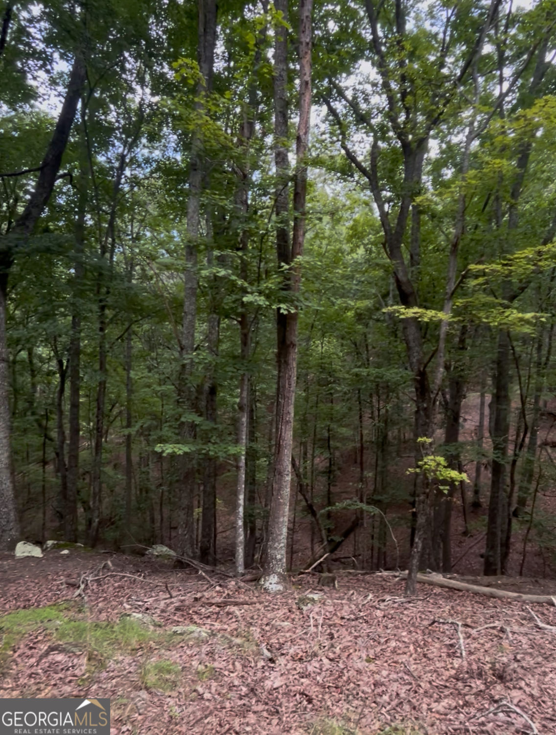 Waleska, Georgia 30183, United States, ,Land,Active,196808