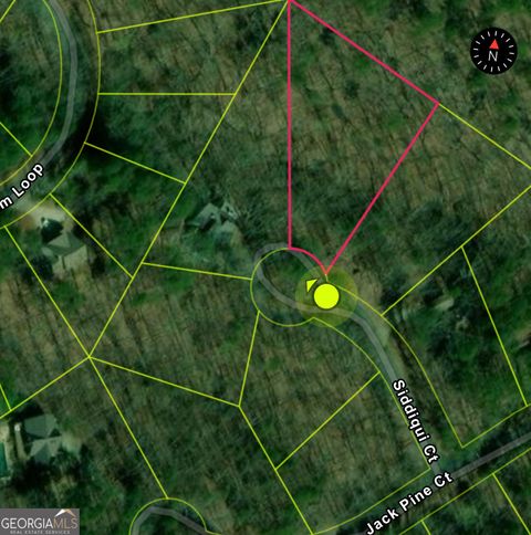 Photo of 110 Siddiqui Court, Waleska, GA 30183 (MLS # 10589808)