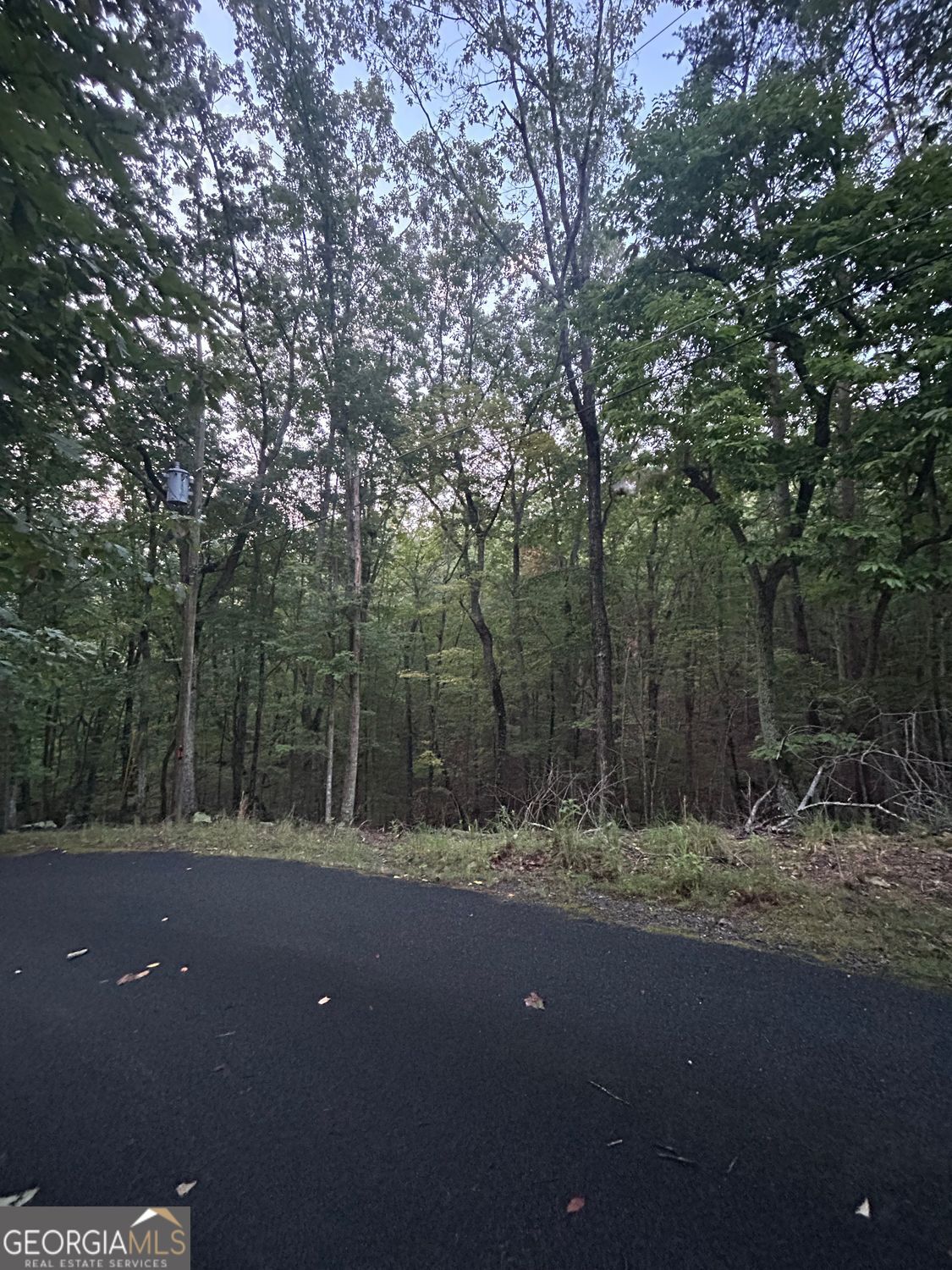 Waleska, Georgia 30183, United States, ,Land,Active,196808